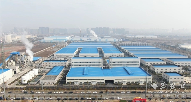 園區(qū)企業(yè)。記者 魯偉龍 攝.webp.jpg