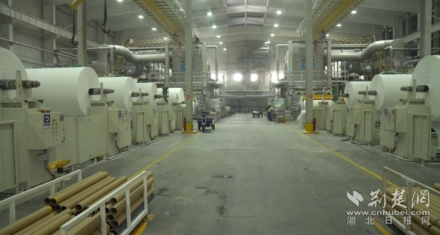 麗邦紙業(yè)。記者 魯偉龍 攝.webp.jpg